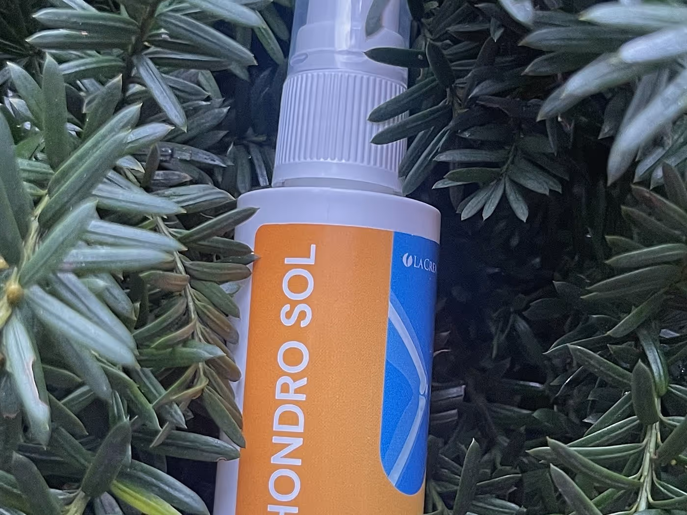 Hondro Sol spray flakon ciprusfélék hajtásai között